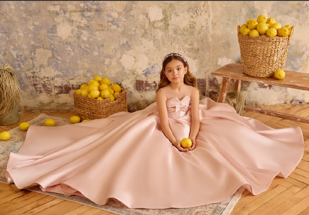 Blush Belle Bow Gown