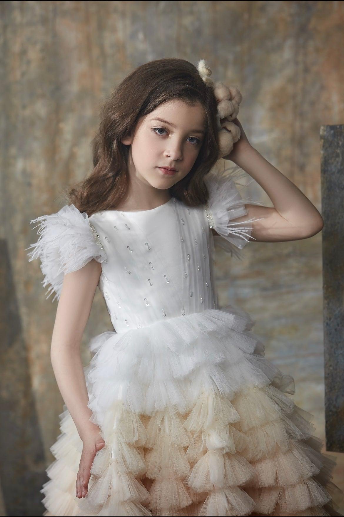 Ethereal Ombre Dreams