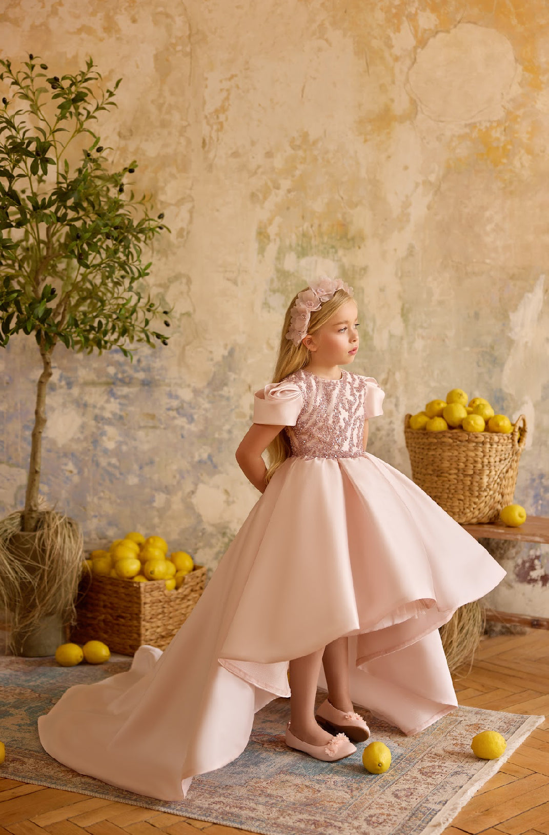 The Ismeria Gown
