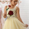 Belle’s Enchanted Rose Tutu Dress