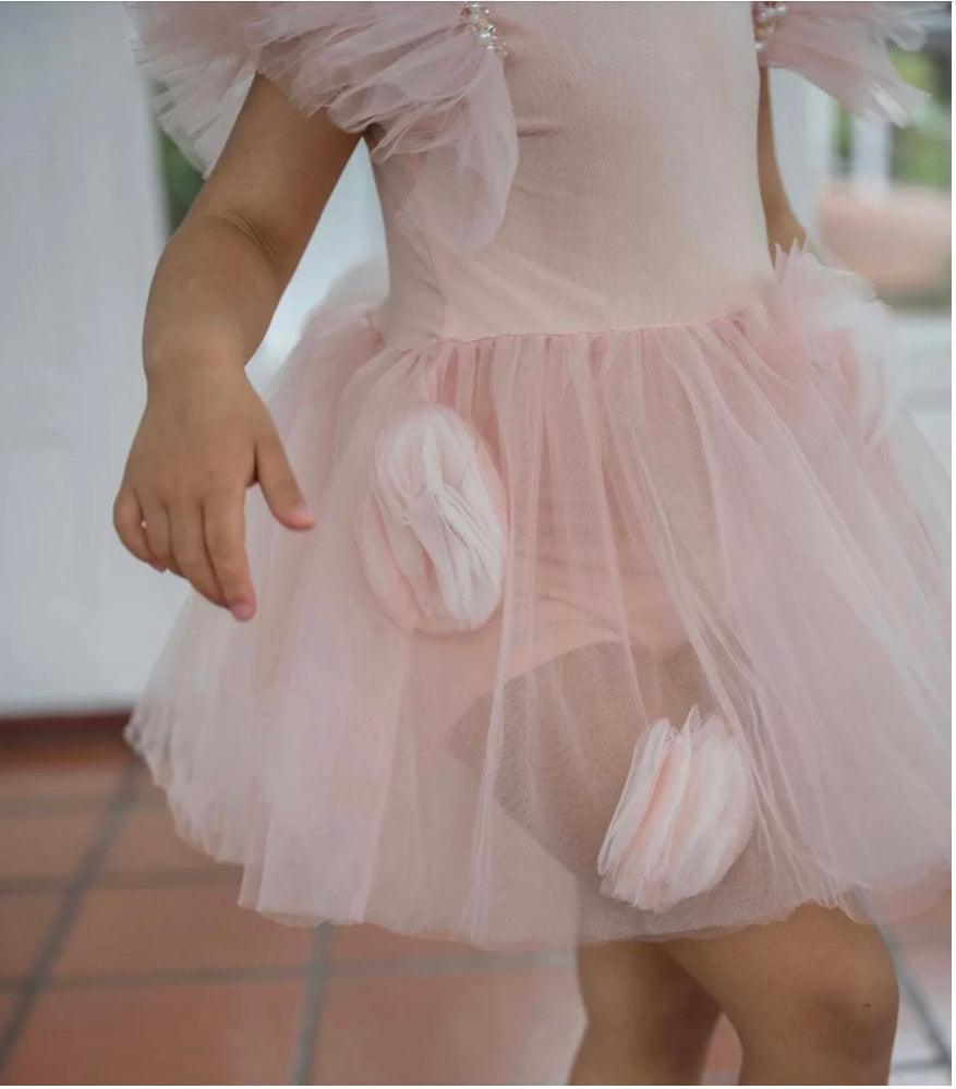 Sugar Plum Fairy Tutu Leotard  Dress